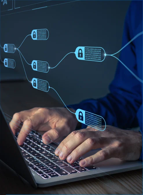 Suporte Técnico Especializado